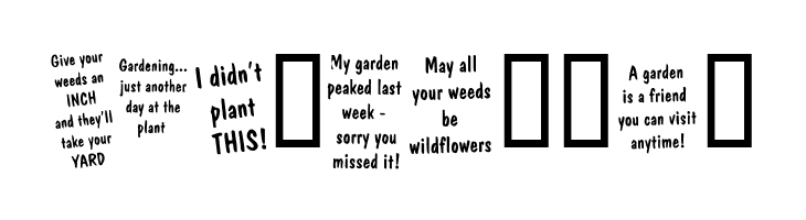 KR Gardenz  Free Fonts Download