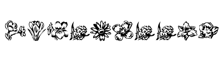KR Beautiful Flowers 2  Free Fonts Download