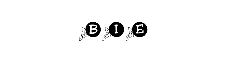 KR Orange Blossom  Free Fonts Download