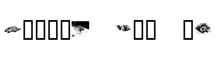 KR Crystal's Badgers  Free Fonts Download