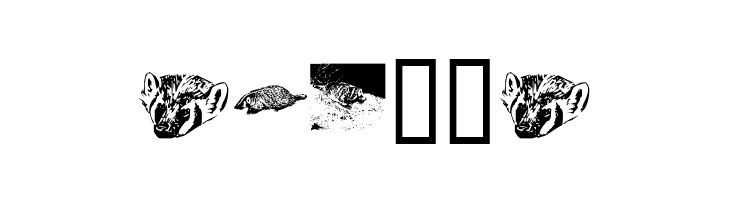 KR Crystal's Badgers  Free Fonts Download