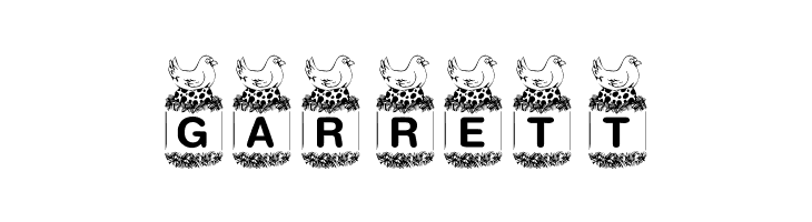 KR Birdy  Free Fonts Download