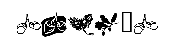KR Oaken  Free Fonts Download