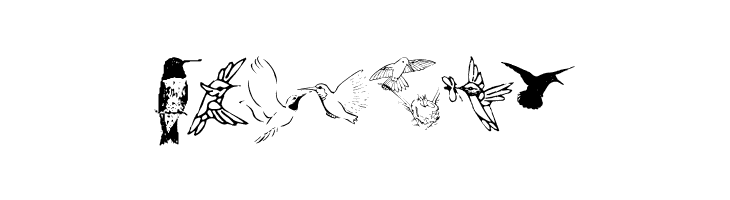 KR Renee's Hummingbirds Two  Free Fonts Download