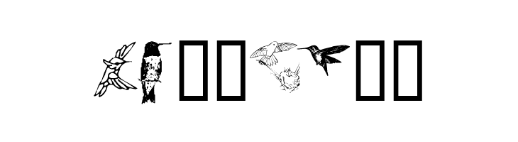 KR Renee's Hummingbirds Two  Free Fonts Download