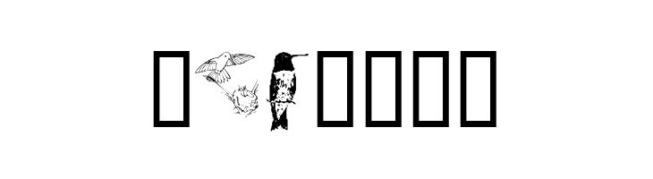 KR Renee's Hummingbirds Two  Free Fonts Download