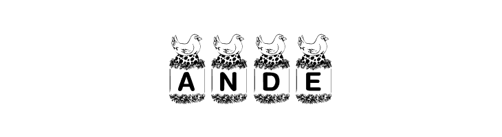 KR Birdy  Free Fonts Download