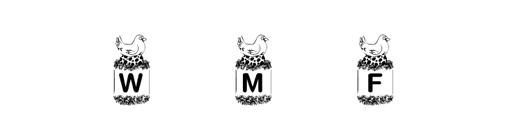 KR Birdy  Free Fonts Download