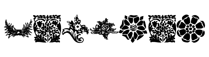 KR Fleurish Floral  Free Fonts Download