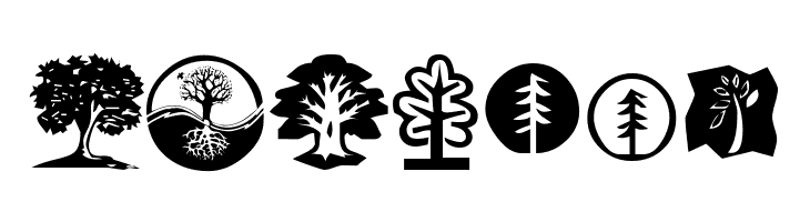 KR Trees  Free Fonts Download