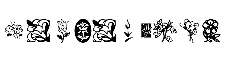KR Kat's Flowers  Free Fonts Download