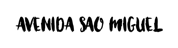 Brushcheetah Regular  Free Fonts Download