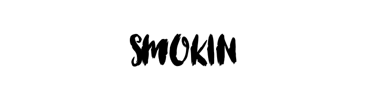 Brushcheetah Regular  Free Fonts Download