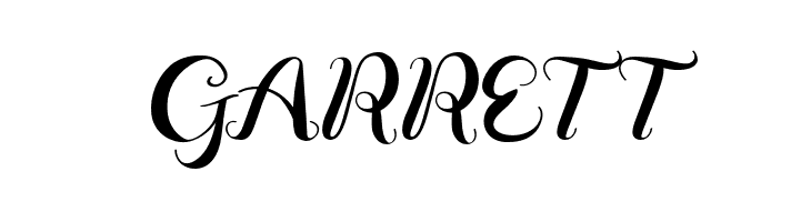 Vignette Script  Free Fonts Download