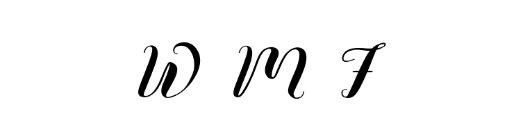 Vignette Script  Free Fonts Download