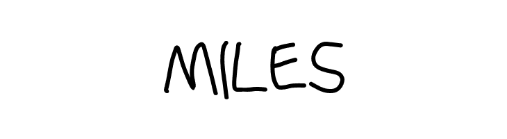 Stray Cat Bold  Free Fonts Download