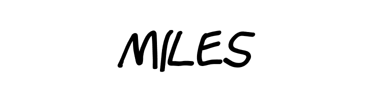 Stray Cat Black Oblique  Free Fonts Download