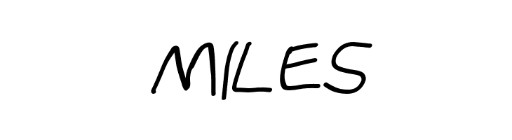 Stray Cat Bold Extended Oblique  Free Fonts Download