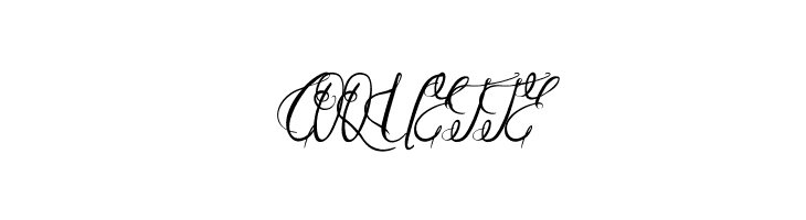 Paradise Script  Free Fonts Download