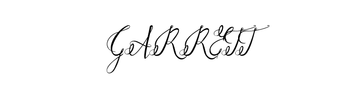 Paradise Script  Free Fonts Download