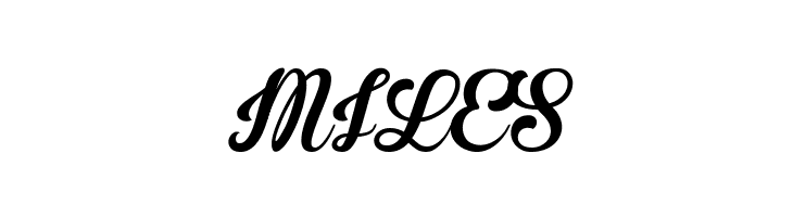 Brannboll Ny Personal Use Only  Free Fonts Download