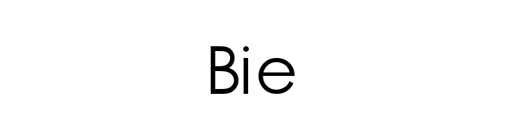 JP Designs Personal Use regular  Free Fonts Download