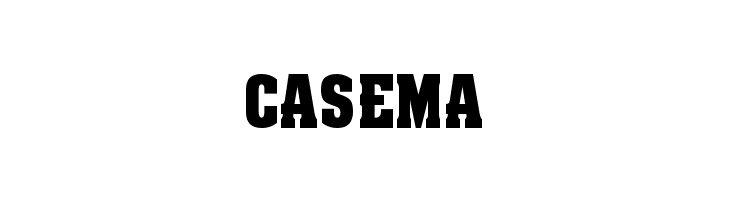 NCAA Wisconsin Badgers 2016  Free Fonts Download