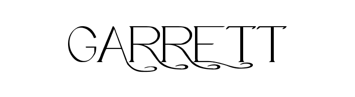 Avanti Serif Regular  Free Fonts Download