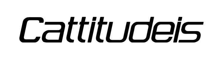 Hug Femmes Bold Italic  Free Fonts Download