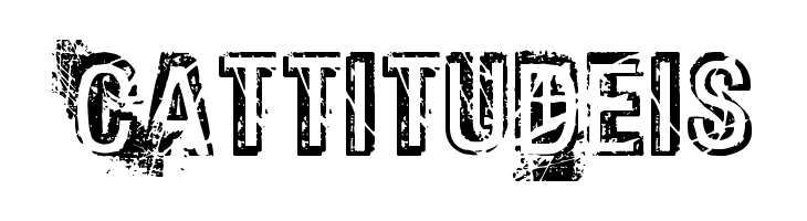 Phat Grunge Bold  Free Fonts Download