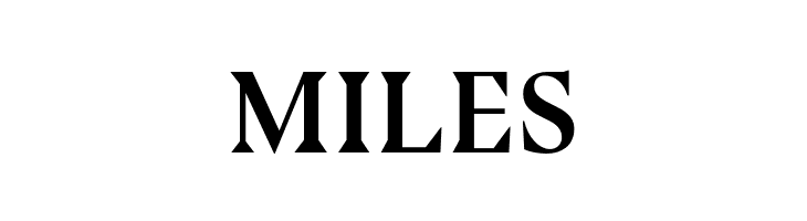 BluuNext-BoldItalic  Free Fonts Download