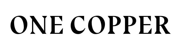 BluuNext-BoldItalic  Free Fonts Download