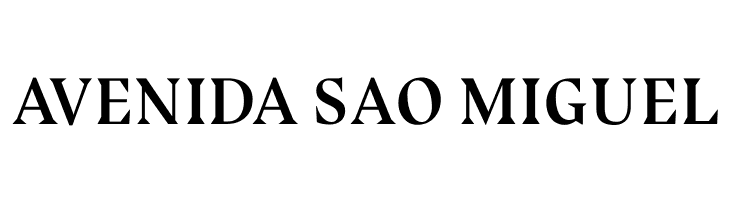 Bluu Next Bold Italic  Free Fonts Download