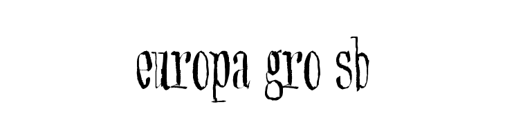 Synonym Blank  Free Fonts Download