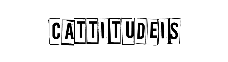 A Box For 2  Free Fonts Download