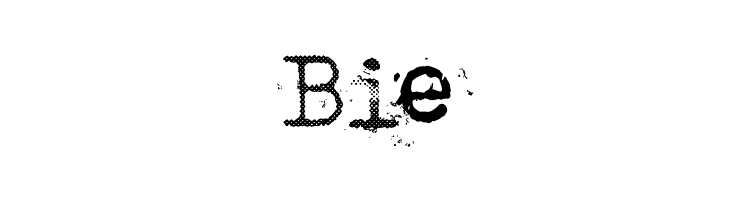Punktype  Free Fonts Download