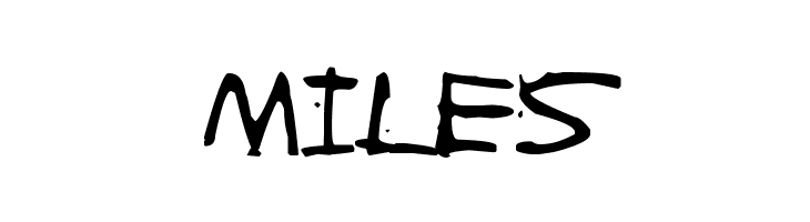 ZIGZAGZOEL  Free Fonts Download