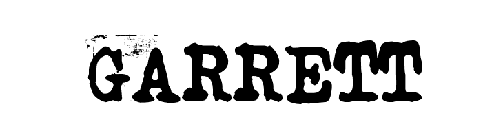 Typistys  Free Fonts Download