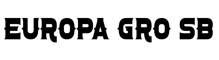 Confetti Western  Free Fonts Download