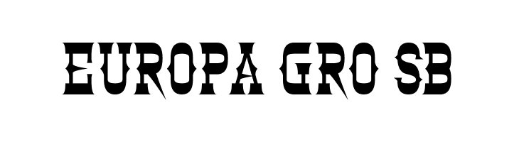 Clintwood  Free Fonts Download