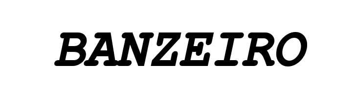 ER Kurier 1251 Bold Italic  Free Fonts Download