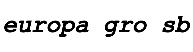 ER Kurier 1251 Bold Italic  Free Fonts Download