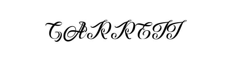 Afterschool Festival  Free Fonts Download