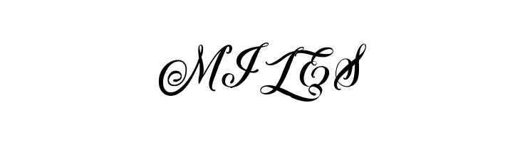 Afterschool Festival  Free Fonts Download