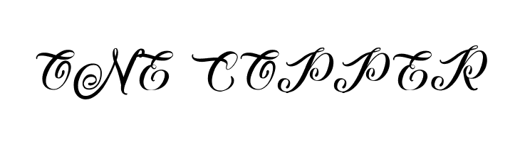 Afterschool Festival  Free Fonts Download