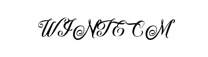 Afterschool Festival  Free Fonts Download