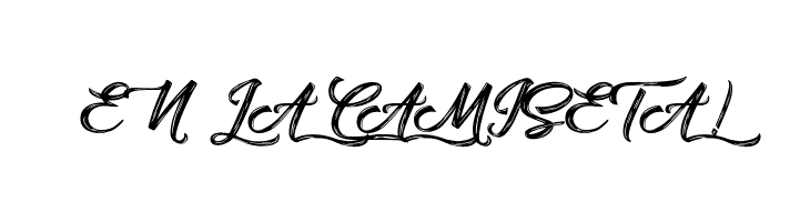 Amontillado  Free Fonts Download