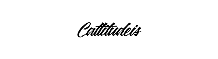 Washington Basketball  Free Fonts Download