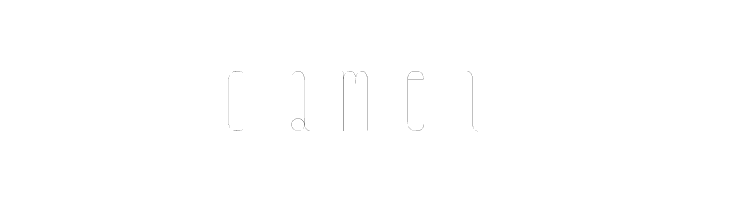 BaradamScript  Free Fonts Download