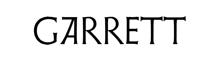 Weiss Lapidar  Free Fonts Download